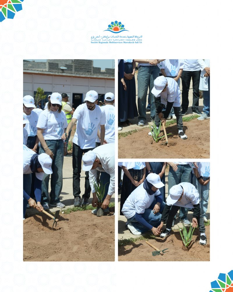 Group of volunteers in white caps and shirts plant young saplings in dirt; collage of three photos from a community tree-planting event.