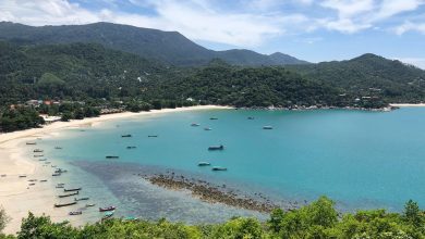 Coastal bay with a white-sand beach, turquoise water, boats anchored near shore, and forested hills in the background