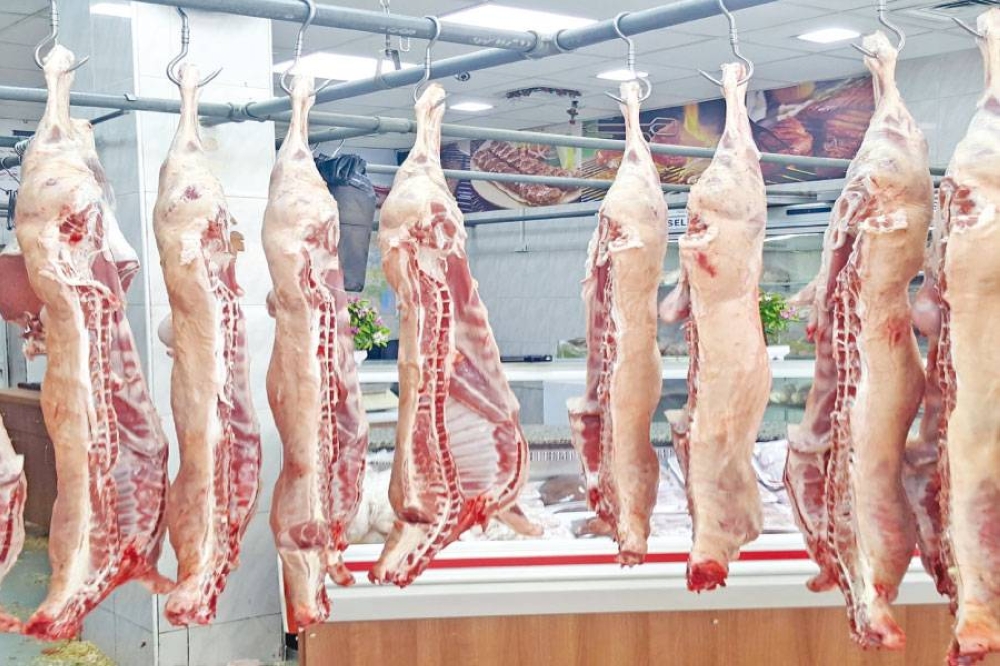 595338 | MCG24 | موقع إلكتروني مغربي شامل متجدد على مدار الساعة Rows of pig carcasses hanging from hooks in a meat processing facility, with a tiled wall and stainless workstations in the background.