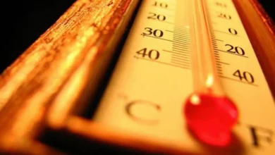 Close-up of a thermometer with red mercury near 40°C on a yellow scale under warm light.