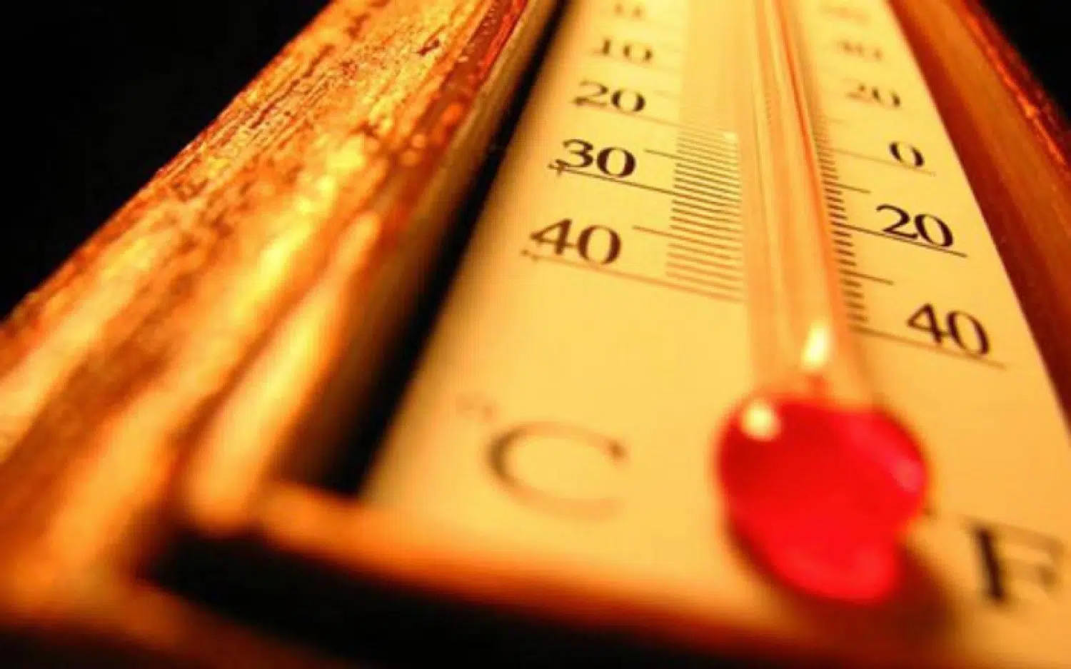 610e43e996644jpg | MCG24 | موقع إلكتروني مغربي شامل متجدد على مدار الساعة Close-up of a thermometer with red mercury near 40°C on a yellow scale under warm light.