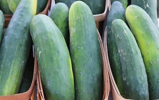 Fresh cucumbers arranged upright in small brown market baskets.