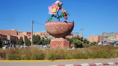 Giant pink flower sculpture rising from a red patterned planter in a town square, with pink buildings and a clear blue sky behind.