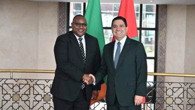 Two men in suits shake hands in front of green and red flags in a formal indoor setting, smiling at the camera.