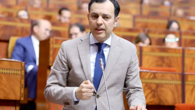 Man in a gray suit speaks at a podium with a microphone in a wood-paneled parliamentary chamber.