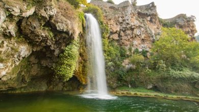 Tall waterfall flowing from a rocky cliff into a green pool, surrounded by mossy rocks and trees in a lush gorge.
