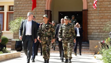 Group of soldiers in camouflage walk with officials down a sunlit entrance steps, flag banners visible on a brick building behind them.