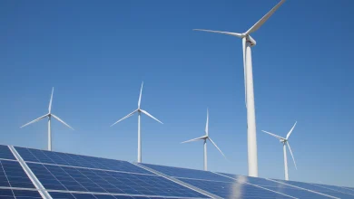 Wind turbines rise above solar panels under a clear blue sky, showcasing renewable energy infrastructure.
