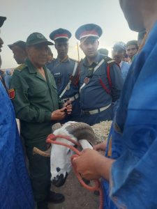 IMG-20260526-WA0074 | MCG24 | موقع إلكتروني مغربي شامل متجدد على مدار الساعة Image