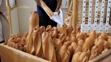 IMG-20260529-WA0056 | MCG24 | موقع إلكتروني مغربي شامل متجدد على مدار الساعة Crate overflowing with long French baguettes in a bakery, with people handling bread in the background.