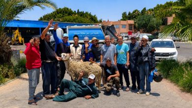 Group of men posing with a sheep in a sunny outdoor lot, with trucks and palm trees in the background.