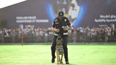 Nouveau-projet131 | MCG24 | موقع إلكتروني مغربي شامل متجدد على مدار الساعة Police officer in uniform guiding a German Shepherd on a grassy field during a public K-9 demonstration, with a crowd and large backdrop in the background