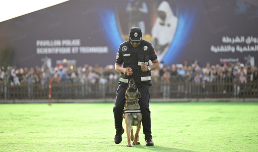 Nouveau-projet131 | MCG24 | موقع إلكتروني مغربي شامل متجدد على مدار الساعة Police officer in uniform guiding a German Shepherd on a grassy field during a public K-9 demonstration, with a crowd and large backdrop in the background