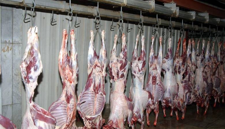 Rows of carcasses hanging by hooks in a slaughterhouse cooler or processing room.