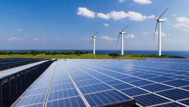 Rows of solar panels in the foreground with three wind turbines on a grassy hill near the coast under a clear blue sky.