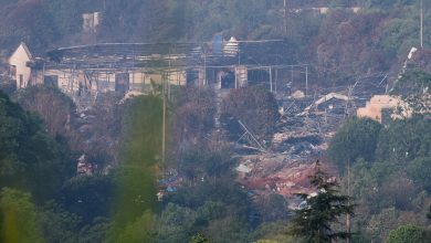 Rubble and the skeletal remains of a collapsed building amid trees, with debris strewn across the area.