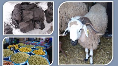 Sack containing large chunks of charcoal tied with string. See top-left image.