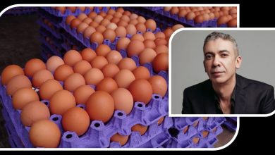 Tray upon tray of brown eggs in purple cartons fills the left, with a man's portrait overlaid in the corner, suggesting a business egg producer feature.