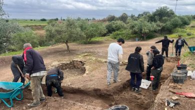 Group of volunteers excavating a dirt site outdoors, digging with shovels and buckets in a rural field with scattered trees in the background.