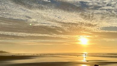 Sunset over a calm beach with reflective wet sand and a lone figure walking along the shoreline.