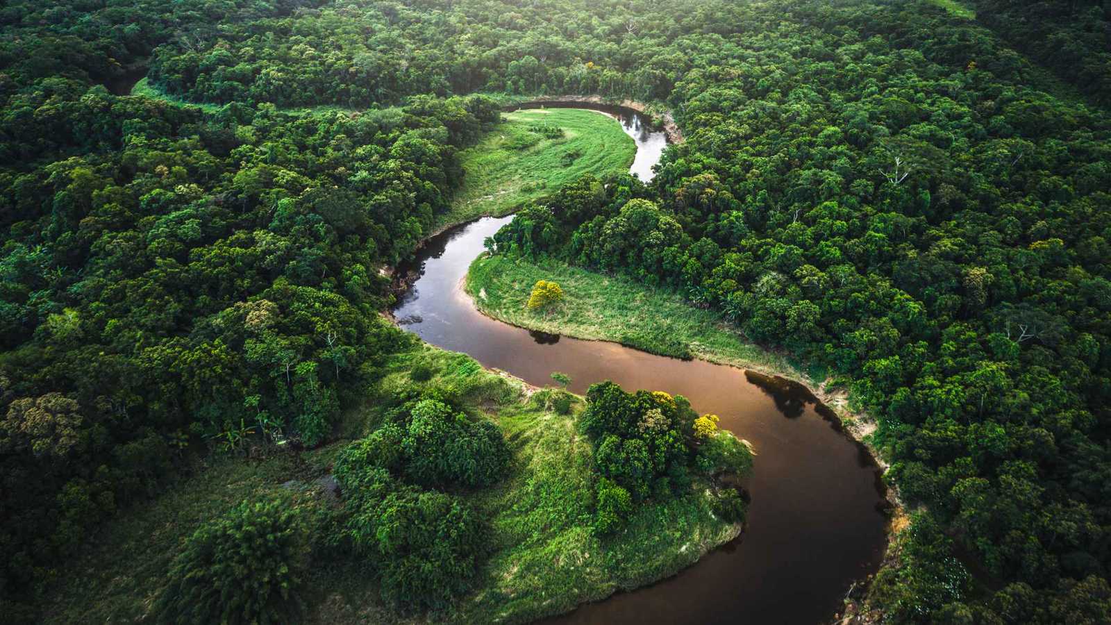 Aerial view of a winding river cutting through lush tropical forest.