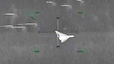 Targeting reticle centered on a pale irregular shape; green corner marks indicate the aim point against a gray background.