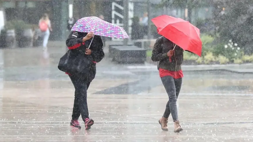 image_870x_69a58d68a2550 | MCG24 | موقع إلكتروني مغربي شامل متجدد على مدار الساعة Two people walking in heavy rain under umbrellas in an urban plaza or sidewalk area.