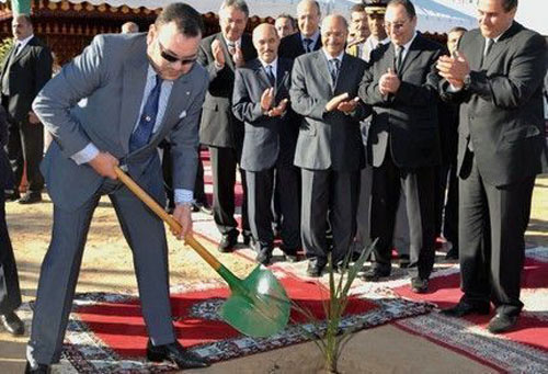 Man in a suit uses a shovel to plant a sapling while a crowd of formally dressed men applauds.