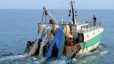 pêche-cotiere-bateau-de-peche | MCG24 | موقع إلكتروني مغربي شامل متجدد على مدار الساعة Fishing boat at sea with large blue and green nets piled on its deck, fishing gear visible.