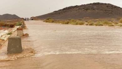 Wide view of a flat, flooded plain with a low concrete embankment along the left edge and distant brown hills under a pale sky; a small group of people stands near the road far away.
