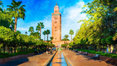 slider_1751333673mraksh | MCG24 | موقع إلكتروني مغربي شامل متجدد على مدار الساعة View of a tall brick minaret (Koutoubia-style) in a palm-filled garden with a central fountain and people strolling along a brick walkway.