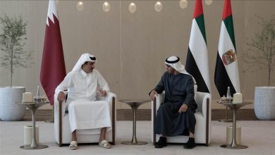 Two men in traditional Gulf robes sit in white armchairs and talk in a formal meeting space, with the flags of Qatar and the UAE behind them.