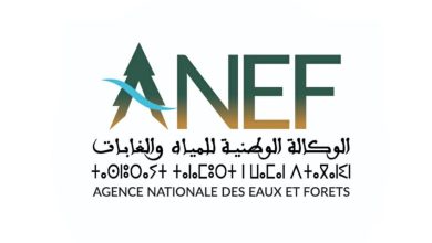 Logo of ANEF: stylized A formed as a green tree with a blue arc, followed by the letters ANEF and Arabic text; below, French 'Agence Nationale des Eaux et Forêts'.