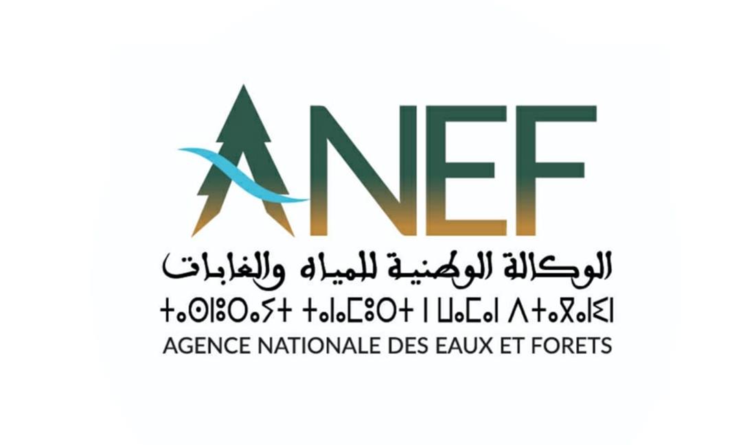 Logo of ANEF: stylized A formed as a green tree with a blue arc, followed by the letters ANEF and Arabic text; below, French 'Agence Nationale des Eaux et Forêts'.