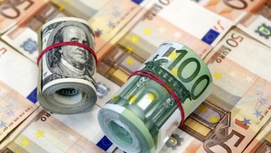 Bundles of US dollars and euros bound with red bands on a desk, indicating cash reserves or exchange money.