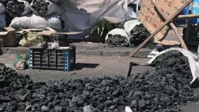 Open-air coal yard with loose coal scattered on the ground and bags in the background, suggesting storage or processing.