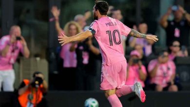 Soccer player in a pink uniform with number 10 celebrates with arms outstretched on the field as fans cheer in the background.