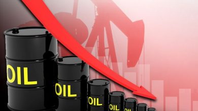 نفط | MCG24 | موقع إلكتروني مغربي شامل متجدد على مدار الساعة Oil barrels labeled 'OIL' shrinking from large to small with a bold red downward arrow, signaling falling oil prices.