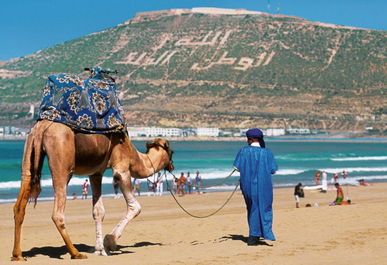 Camel with blue patterned blanket being led by a man in a blue robes along a sunny sandy beach, turquoise sea in the background.