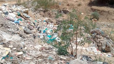 Pile of garbage and plastic waste scattered in a dry, hilly landscape with sparse trees in the distance and a clear blue sky at top.