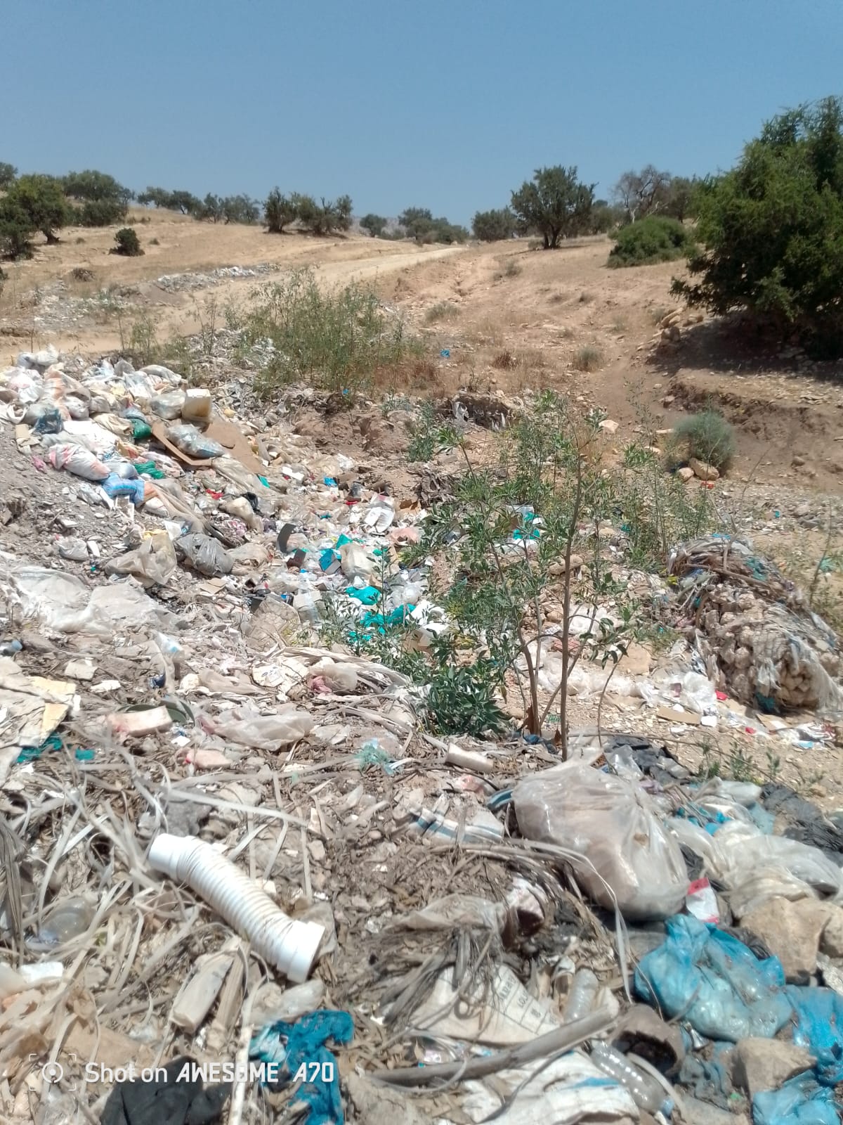 Pile of garbage and plastic waste scattered in a dry, hilly landscape with sparse trees in the distance and a clear blue sky at top.