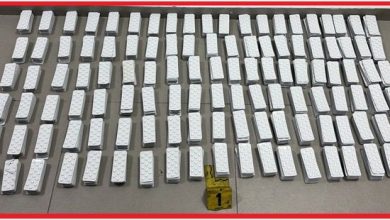 IMG-20260602-WA0007 | MCG24 | موقع إلكتروني مغربي شامل متجدد على مدار الساعة Rows of white domino tiles neatly arranged on a gray floor, with a yellow numbered marker reading '1' in front.