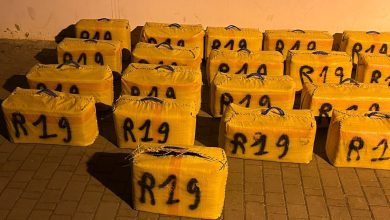 IMG-20260611-WA0073 | MCG24 | موقع إلكتروني مغربي شامل متجدد على مدار الساعة Rows of yellow bags labeled 'R19' arranged on a paved outdoor area, with a small yellow 'D' tag in front.