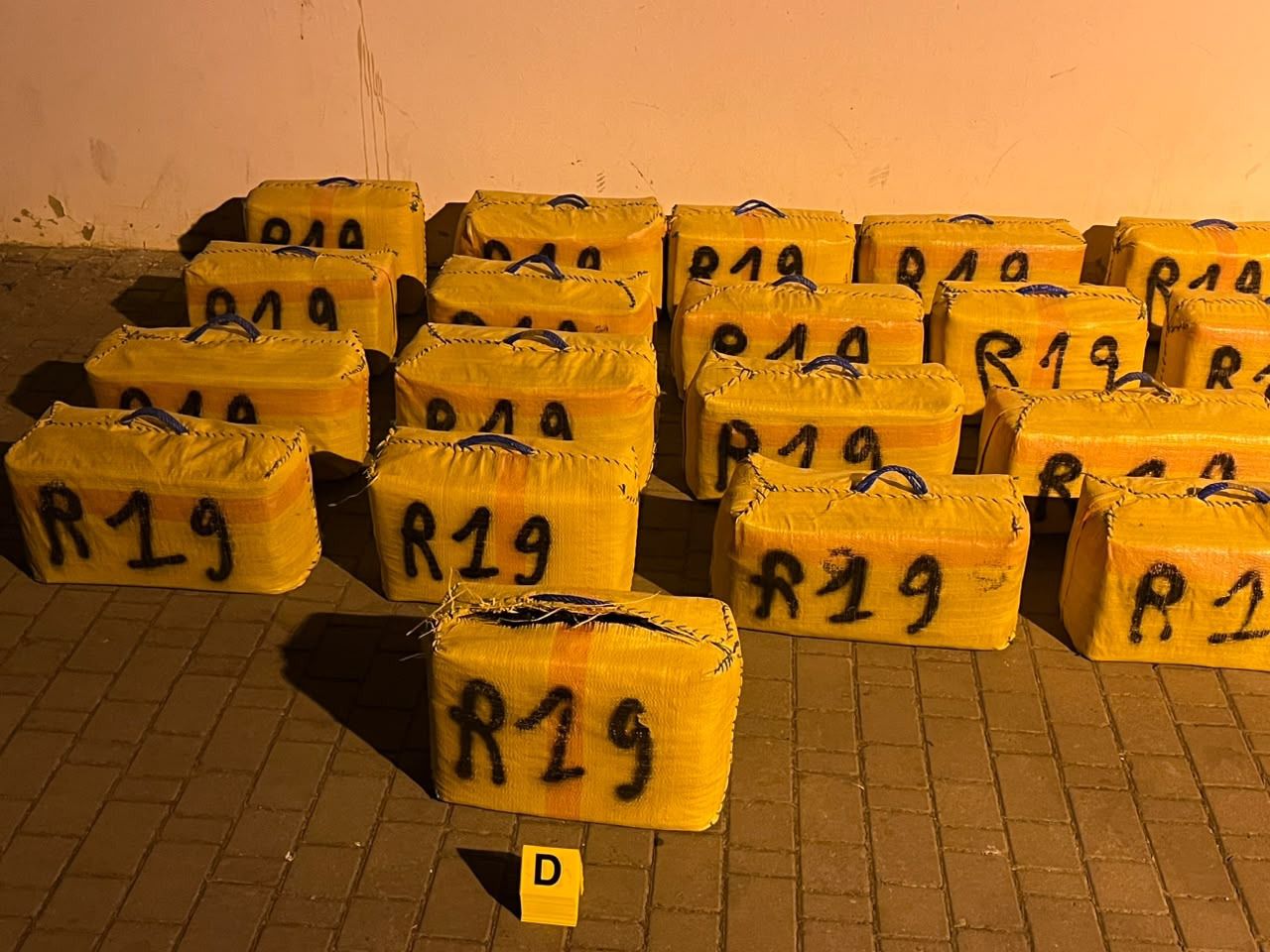 IMG-20260611-WA0073 | MCG24 | موقع إلكتروني مغربي شامل متجدد على مدار الساعة Rows of yellow bags labeled 'R19' arranged on a paved outdoor area, with a small yellow 'D' tag in front.