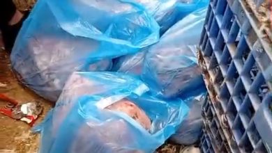 IMG-20260615-WA0203 | MCG24 | موقع إلكتروني مغربي شامل متجدد على مدار الساعة Blue plastic trash bags filled with garbage piled in a dirty alley beside a metal rack/pallets.