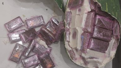 IMG-20260621-WA0263 | MCG24 | موقع إلكتروني مغربي شامل متجدد على مدار الساعة Halved watermelon with purple square candies spilling onto a white surface.