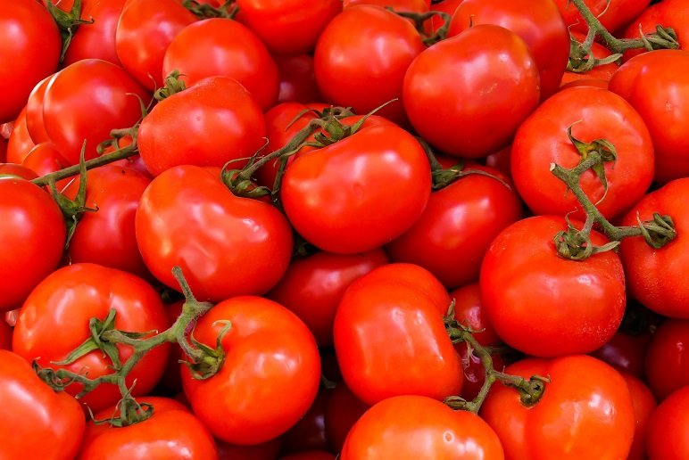 Pile of ripe red cherry tomatoes with green stems in a home-grown display