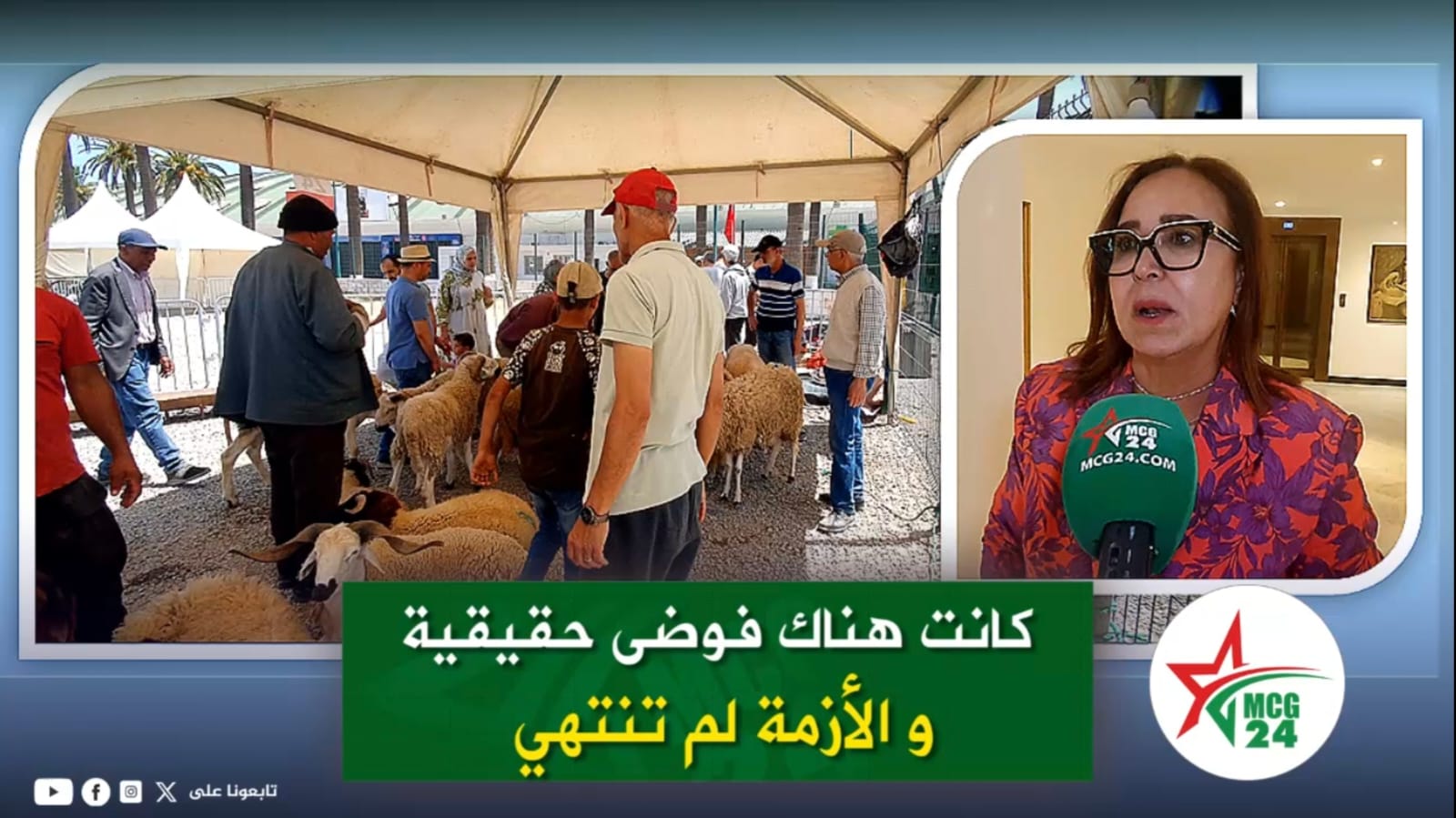 WhatsApp Image 2026-06-02 at 100202 | MCG24 | موقع إلكتروني مغربي شامل متجدد على مدار الساعة News collage showing a crowded sheep market under a tent on the left and a woman with a green MCG24 microphone speaking in an interior on the right; green Arabic headline overlays front and center.