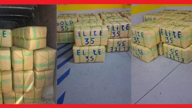 Stacks of beige rectangular bales wrapped in green straps, labeled 'ELITE 35', in a truck and loading area.