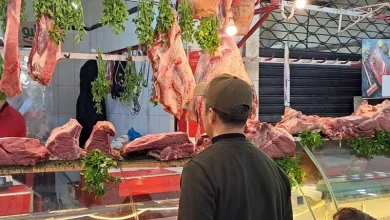 viande | MCG24 | موقع إلكتروني مغربي شامل متجدد على مدار الساعة Butcher shop scene with large meat cuts hanging from hooks above a glass display case, herbs dangling nearby, and a man in a cap watching the counter.